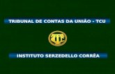 TRIBUNAL DE CONTAS DA UNIÃO - TCU INSTITUTO SERZEDELLO CORRÊA.
