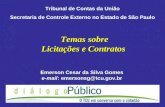 Temas sobre Licitações e Contratos Emerson Cesar da Silva Gomes e-mail: emersonsg@tcu.gov.br Tribunal de Contas da União Secretaria de Controle Externo.