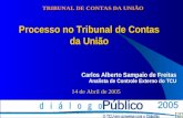 Processo no Tribunal de Contas da União Carlos Alberto Sampaio de Freitas Analista de Controle Externo do TCU 14 de Abril de 2005 TRIBUNAL DE CONTAS DA.