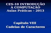 CES-10 INTRODUÇÃO À COMPUTAÇÃO Aulas Práticas – 2013 Capítulo VIII Cadeias de Caracteres.