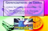 Gerenciamento de Dados Instituto Tecnológico da Aeronáutica – ITA CE-245 Tecnologias da Informação Professor Adilson Marques da Cunha Aluna: Michelle Dias.