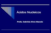 Ácidos Nucleicos Profa. Gabriela Alves Macedo. Tópicos da aula Estrutura dos ácidos nucléicos e nucleotídeos Importância dos ácidos nucléicos e nucleotídeos.