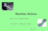 Bactérias Acéticas Aluna PED - Maricy R. L. Bonfá TA - 603 Profa. Dra. Lucia Regina Durrant.