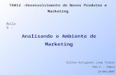 Analisando o Ambiente de Marketing TA012 –Desenvolvimento de Novos Produtos e Marketing Aula 3 : Alline Artigiani Lima Tribst PED C – TA012 14/08/2007.