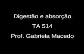Digestão e absorção TA 514 Prof. Gabriela Macedo.