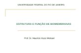 ESTRUTURA E FUNÇÃO DE BIOMEMBRANAS UNIVERSIDADE FEDERAL DO RIO DE JANEIRO UNIVERSIDADE FEDERAL DO RIO DE JANEIRO Prof. Dr. Mauricio Mussi Molisani.