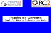 Papéis do Gerente Prof. Dr. Dálcio Roberto dos Reis.
