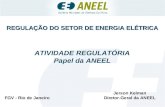 FGV - Rio de Janeiro Jerson Kelman Diretor-Geral da ANEEL ATIVIDADE REGULATÓRIA Papel da ANEEL REGULAÇÃO DO SETOR DE ENERGIA ELÉTRICA.