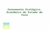 Zoneamento Ecológico- Econômico do Estado do Pará.