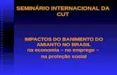 SEMINÁRIO INTERNACIONAL DA CUT IMPACTOS DO BANIMENTO DO AMIANTO NO BRASIL na economia – no emprego – na proteção social.