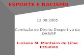 ESPORTE E RACISMO 12.09.2005 Comissão de Direito Desportivo da OAB/SP Luciana M. Monteiro de Lima Estudino.