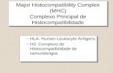 Major Histocompatibility Complex (MHC) Complexo Principal de Histocompatibilidade –HLA- Human Leukocyte Antigens –H2- Complexo de Histocompatibilidade.