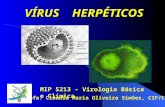 VÍRUS HERPÉTICOS Profa. Cláudia Maria Oliveira Simões, CIF/CCS MIP 5213 – Virologia Básica e Clínica.