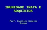 IMUNIDADE INATA E ADQUIRIDA Prof. Caroline Rigotto Borges.