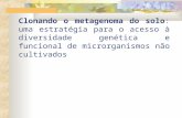 Clonando o metagenoma do solo: uma estratégia para o acesso à diversidade genética e funcional de microrganismos não cultivados.