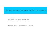 TÉCNICAS DE CODIFICAÇÃO DE SINAIS CÓDIGOS DE BLOCO Evelio M. G. Fernández - 2009.