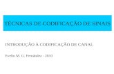 TÉCNICAS DE CODIFICAÇÃO DE SINAIS INTRODUÇÃO À CODIFICAÇÃO DE CANAL Evelio M. G. Fernández - 2010.