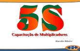 Haroldo Ribeiro Haroldo Ribeiro Capacitação de Multiplicadores.