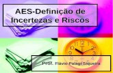 AES-Definição de Incertezas e Riscos Prof. Flávio Palagi Siqueira.