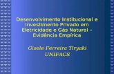 Desenvolvimento Institucional e Investimento Privado em Eletricidade e Gás Natural – Evidência Empírica Gisele Ferreira Tiryaki UNIFACS.