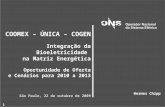 11 COOMEX – ÚNICA – COGEN Integração da Bioeletricidade na Matriz Energética Oportunidade de Oferta e Cenários para 2010 a 2013 São Paulo, 22 de outubro.