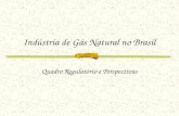 Indústria de Gás Natural no Brasil Quadro Regulatório e Perspectivas.