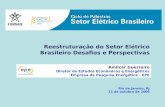 Reestruturação do Setor Elétrico Brasileiro Desafios e Perspectivas Rio de Janeiro, RJ 11 de outubro de 2006 Amilcar Guerreiro Diretor de Estudos Econômicos.