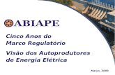 Março, 2009 Cinco Anos do Marco Regulatório Visão dos Autoprodutores de Energia Elétrica.