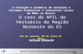 Rio de Janeiro, 05 de julho de 2011 A evolução e dinâmica de Arranjos e Sistemas Produtivos e Inovativos Locais de MPEs no Brasil Arlindo Villaschi O caso.