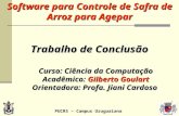 PUCRS – Campus Uruguaiana Software para Controle de Safra de Arroz para Agepar Trabalho de Conclusão Curso: Ciência da Computação Curso: Ciência da Computação.