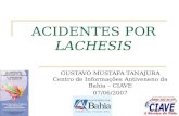 ACIDENTES POR LACHESIS GUSTAVO MUSTAFA TANAJURA Centro de Informações Antiveneno da Bahia – CIAVE 07/06/2007.