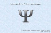 Introdução a Psicossociologia Organização: Valéria Lúcia M de Oliveira CRP – 01/1949.