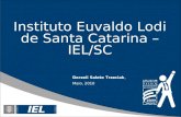 Instituto Euvaldo Lodi de Santa Catarina – IEL/SC Dorzeli Salete Trzeciak, Maio, 2010.