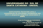 UNIVERSIDADE DO SUL DE SANTA CATARINA - UNISUL Instrumentos Gerenciais para a consolidação da estratégia competitiva nas micro e pequenas empresas associadas.