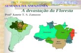 SEMANA DA AMAZÔNIA A devastação da Floresta Profª Janete T. S. Zanuzzo.