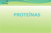 Definição: polímeros de aminoácidos (aa) unidos por ligações peptídicas. Proteínas.