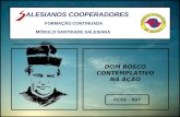 ALESIANOS COOPERADORES FORMAÇÃO CONTINUADA MÓDULO SANTIDADE SALESIANA DOM BOSCO CONTEMPLATIVO NA AÇÃO FCSS - 007.
