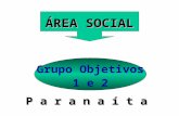 ÁREA SOCIAL Grupo Objetivos 1 e 2 P a r a n a í t a.