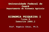 Universidade Federal do Ceará Departamento de Economia Agrícola ECONOMIA PESQUEIRA I Turma B Semestre 2008.2 Prof. Rogério César, Ph.D.