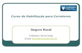 Curso de Habilitação para Corretores Seguro Rural Professor: Bruno Kelly Email: bruno@correcta.com.brbruno@correcta.com.br.