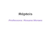 Répteis Professora: Rosana Moraes. Répteis Tartarugas, jabutis, cágados, lagartos, camaleões, lagartixas, serpentes, jacarés e crocodilos, tuataras são.