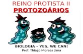 REINO PROTISTA IIPROTOZOÁRIOS BIOLOGIA – YES, WE CAN! Prof. Thiago Moraes Lima.