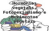 Hormônios vegetais, Fotoperiodismo e Movimentos vegetais BIOLOGIA – YES, WE CAN! Prof. Thiago Moraes Lima.