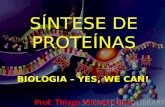 SÍNTESE DE PROTEÍNAS BIOLOGIA – YES, WE CAN! Prof. Thiago Moraes Lima.
