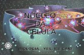 NÚCLEODACÉLULA BIOLOGIA – YES, WE CAN! Prof. Thiago Moraes Lima.