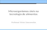 Microorganismos úteis na tecnologia de alimentos Professor Victor Vasconcelos.