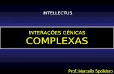 INTERAÇÕES GÊNICAS COMPLEXAS Prof.:Marcello Spolidoro INTELLECTUS.