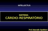 SISTEMA CÁRDIO-RESPIRATÓRIO Prof.:Marcello Spolidoro INTELLECTUS.