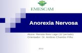 Anorexia Nervosa Aluna: Renata Reis Lage (11°período) Orientador: Dr. Antônio Chambo Filho 2013