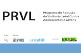Origem Programa Rotas de Fuga Consulta Nacional sobre a violência contra a criança e o adolescente (2005): - problemas relacionados à confiabilidade dos.
